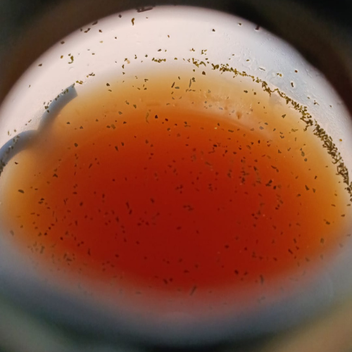 ⚡ Súper Agua de Jengibre – Energía vegetal, frescura natural