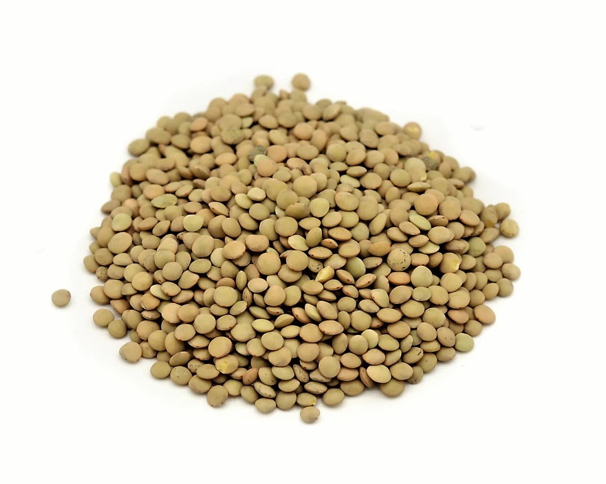 Lenteja Estón (Verdina)