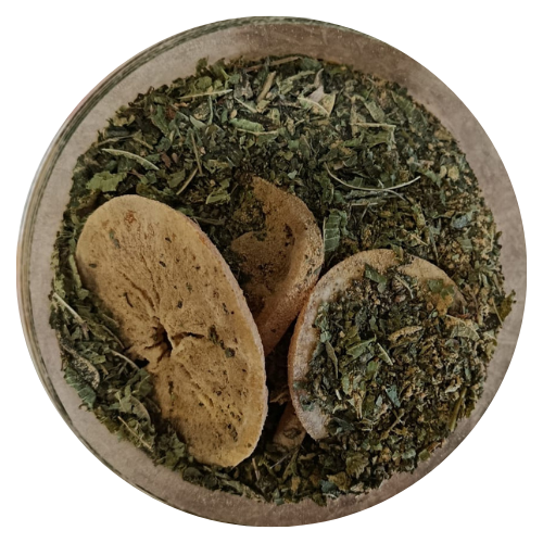 ⚡ Súper Agua de Jengibre – Energía vegetal, frescura natural