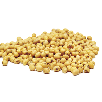 Soja Blanca - Amarilla